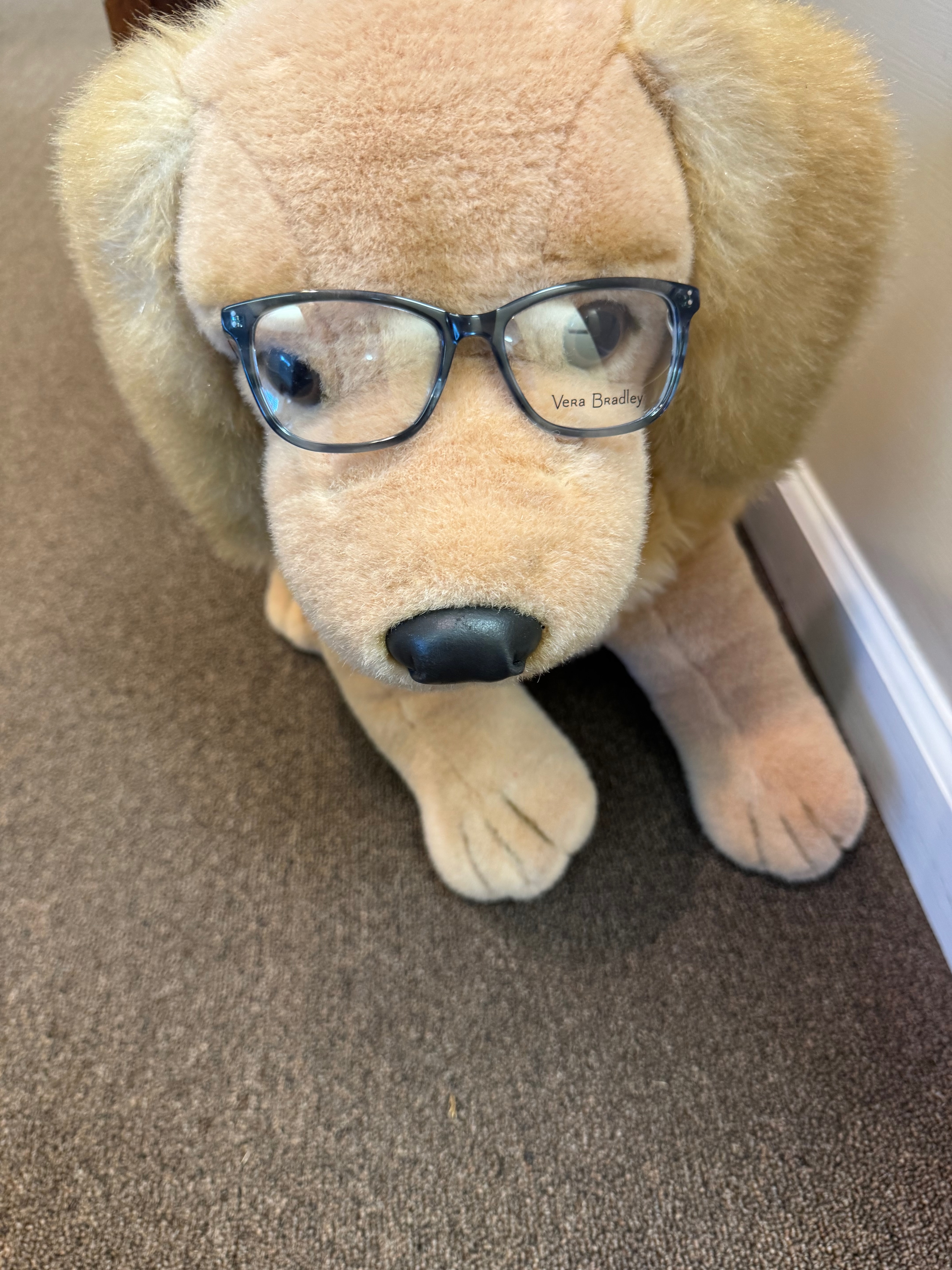 Stuffed golden retriever wearing Vera Bradley glasses